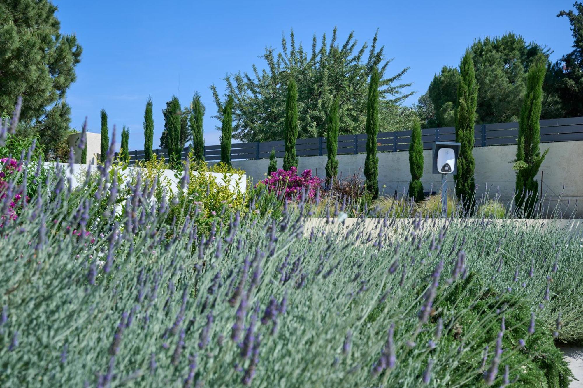 Kyamon Estate Luxury Villa La Canea Esterno foto